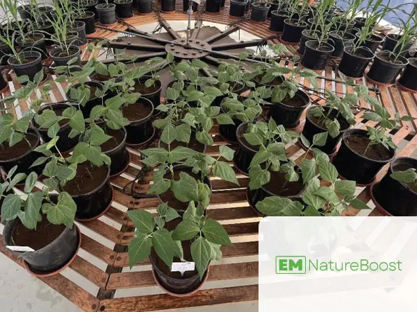 EM NatureBoost® Protocol Trial Report